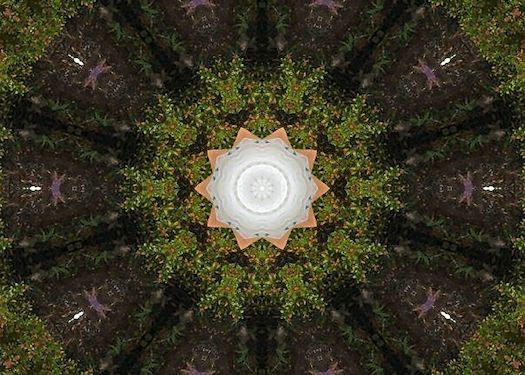 Believe_5x7sharpWEB